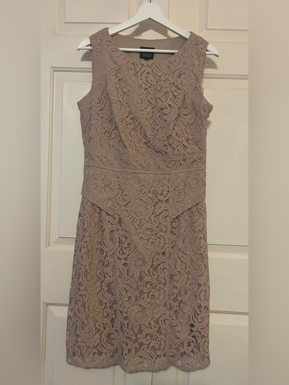 Adrianna Papell Dusty Rose Lace Peplum Dress 10 | Romantic & Elegant